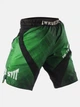 Шорты для MMA Immortal Fightshorts Green Lantern S Цвет Зеленый (401001-478-S) - изображение 2