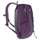 Рюкзак Deuter Gogo 25 л plum-ink 3813221 5334 - изображение 4