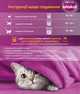 Упаковка сухого корма для котят Whiskas с курицей 300 г х 6 шт (5900951356339) - изображение 5
