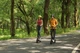 Segway Шолом для дорослих[Чорний] - изображение 2