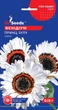 Семена Венидиума Принц Зулу (0,15 г), For Hobby, TM GL Seeds - изображение 1