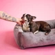 Лежак для собак Harley and Cho Dreamer 120 х 80 x 18 см с бортами Grey Velvet (3100098) - изображение 4
