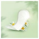 Щоденні прокладки Naturella Camomile Normal 74 шт. (8006540100806) - зображення 4