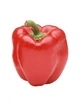 Семена Перец сладкий Красный сыр, 0,25 г (GL Seeds) - изображение 2