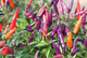 Семена Перец острый Маскарад, декоративный, 0,25 г (GL Seeds) - изображение 4