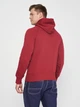 Худі GANT Grafik 2047048 Magnoli Red M - изображение 3