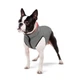 Двостороння курточка для собак AiryVest коралово-сіра, розмір S40, B: 57-59 см; C: 33-38 см; (1678) - зображення 3