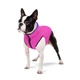 Двостороння курточка для собак AiryVest рожево-фіолетова, розмір XS22, B: 33-35 см; C: 19-21 см; (1710) - зображення 3