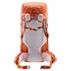 Рюкзак Deuter Aircontact Ultra 45+5 л SL 3360022 5911 - изображение 3