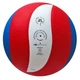 М'яч волейбольний Gala Pro-Line BV5591S - зображення 4