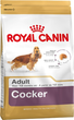 Sucha karma dla psów Royal Canin Cocker Adult Kukurydza, Drób, Ryż 12 kg (3182550811538) - obraz 1