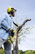 Высоторез Аккумуляторный Karcher PSW 18-20 BATTERY (без АКБ и ЗУ) (1.444-010.0) - изображение 5