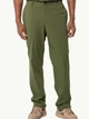 Штаны мужские Jack Wolfskin Desert Pants M 1508331-4129 48 Зеленые (4064993675290) - изображение 1