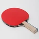 Ракетка для настольного тенниса Butterfly Timo Boll Silver Красный/Черный - изображение 5