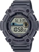 Мужские часы CASIO WS-1300H-8AVEF - изображение 1