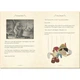 Studio Press Pinocchio. Studio Press. ISBN:9781787415461 - изображение 3