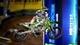 Ключ активации Monster Energy Supercross 4 - Special Edition для Xbox One/Series - изображение 10