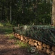 Камуфляж Тент CAMOforest, 3х4м, 90 г/м² Bradas - изображение 5