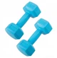 Гантели Springos Hex 2 x 1 кг FA1030 - изображение 1