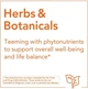 Гинкго Билоба Now Foods Ginkgo Biloba (Double Strength), 120 мг 200 капсул - изображение 5