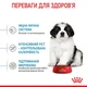 Сухий корм для цуценят Royal Canin Giant Puppy 1 кг - зображення 3