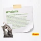 Cухий корм для кошенят Josera Kitten Grainfree 400 г - лосось - изображение 3