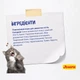 Сухий корм для котів Josera DailyCat 10 кг - свійський птах - зображення 3