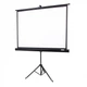 Екран для проектора Overmax Tripod Screen 60 - зображення 1