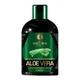 Шампунь Dallas Cosmetics Aloe Vera Hair Shampoo з гіалуроновою кислотою та олією чайного дерева 500 мл (4260637729330) - изображение 1