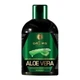 Шампунь Dallas Cosmetics Aloe Vera Hair Shampoo з гіалуроновою кислотою та олією чайного дерева 500 мл (4260637729330) - изображение 2