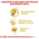 Сухий корм для дорослих котів Royal Canin SPHYNX ADULT породи сфінкс 10кг - зображення 5