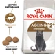 Сухой корм для взрослых стерилизованных кошек ROYAL CANIN STERILISED 12 кг - изображение 2
