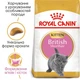 Сухий корм для кошенят Royal Canin KITTEN BRITISH SHORTHAIR породи британська короткошерста 0,4кг - изображение 3