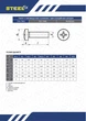 Винт М4х12 DIN7985 4,8 цинк М Steelfix 100 шт (008712) - изображение 2