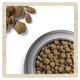 Сухий корм для активних собак всіх порід Dog Chow Active Chicken 14 кг (курка) - зображення 7