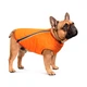 Жилет для собак Pet Fashion E.Vest S (помаранчевий) - зображення 1