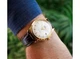 Мужские наручные часы ORIENT RA-AC0M01S10B Коричневый - изображение 3