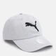 Кепка Puma Ess Cat Logo Bb 02458704 One Size Platinum Gray (4065452957674) - зображення 1