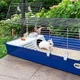 Клетка для кроликов и морских свинок Ferplast Rabbit 120 118х58.5х49.5 см Синяя (57053070) - изображение 4