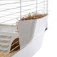 Клетка для морских свинок и грызунов Ferplast Cavie 80 77х48х42 см Белая (57054070) - изображение 5