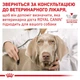 Сухой корм для взрослых собак ROYAL CANIN SENSITIVITY CONTROL DOG 12 кг - изображение 2