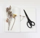 Ножиці Xiaomi Heat-Plated Titanium Stationery Scissors Combination Black - зображення 3