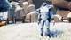 Ключ активации Eville - Frozen Tundra Pack для Xbox One/Series - изображение 4