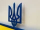 Медальниця "E-Trophy" з поличкою для кубків Герб-3 Сталева(синьо-жовта) - изображение 6