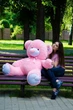 Плюшевый медведь Плюшевый медведь Мягкая игрушка на 8 марта Плюшевый медведь Томии 150 см Розовый Подарок - изображение 3