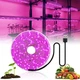 Світлодіодна ФитоЛента IP65 Growlights Waterproof для Кімнатних Рослин з 5V USB 2835 Фитолампа Повний Спектр від GrowLight 3 Метри - зображення 1