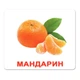 Набор больших ламинированных карточек Домана Фрукты на украинском 20 шт Вундеркинд с Пеленок (2100064286513) - изображение 6