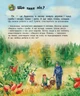 Детская энциклопедия про лес Ranok Creative для дошкольников (61401600001111) - изображение 13