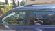 Ветровики (4 шт, Sunplex Sport) для Fiat Palio 1998- гг - изображение 1