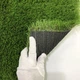 Декоративна трава CCGrass Lissome 45 4м. - зображення 4